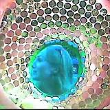 90704201823